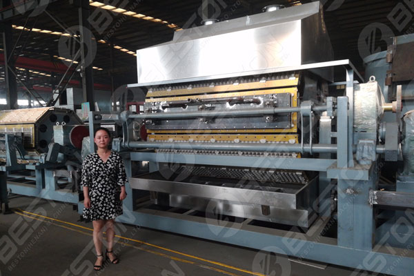 6500 Pcs Pulp Molding Machine