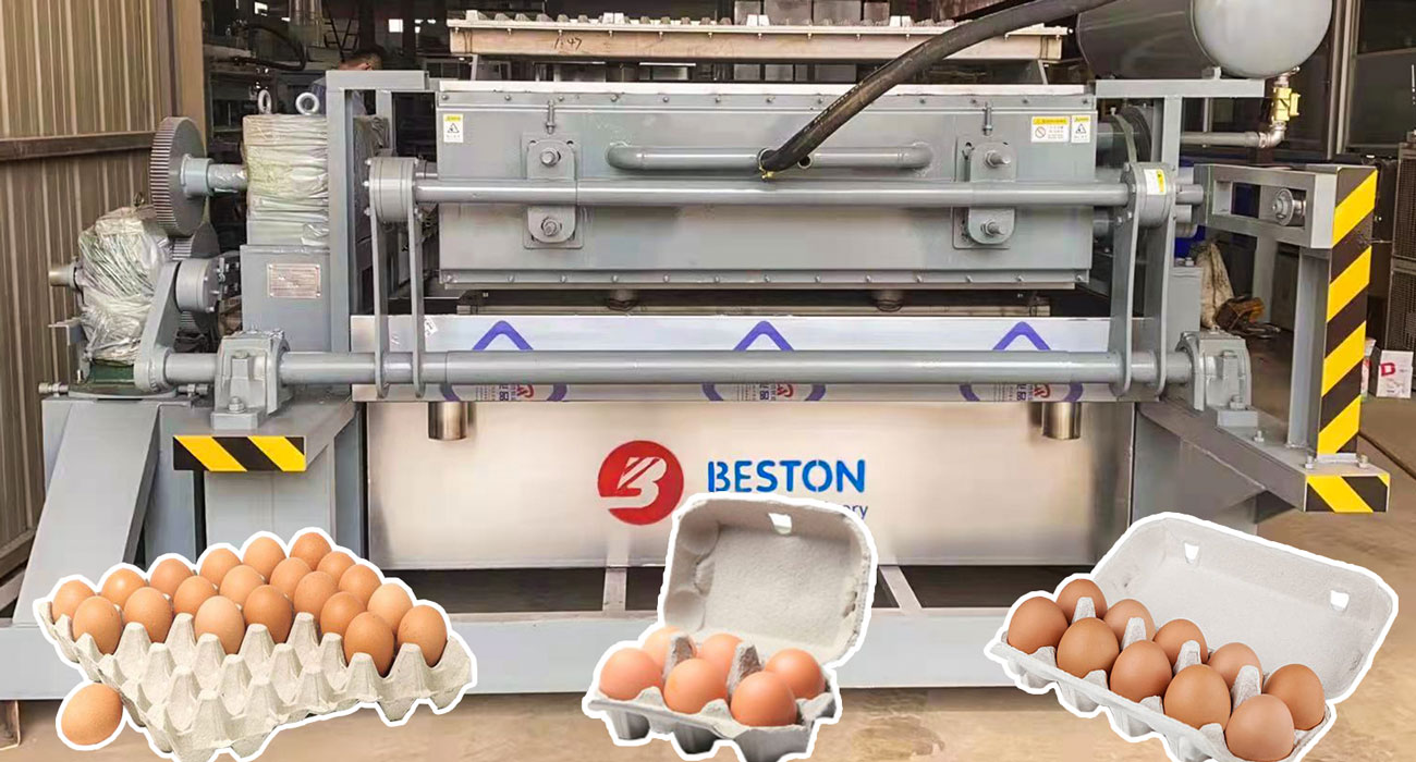 Start Egg Tray Making Business in Iraq