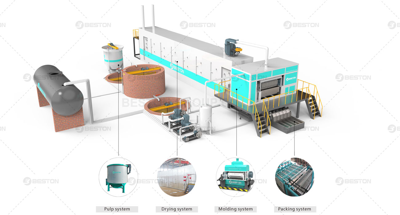 Working Process of Beston Egg Tray Machine in Iraq