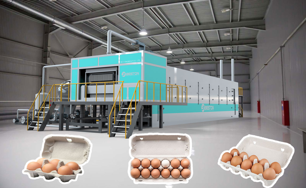 Beston Egg Carton Machine for Sale